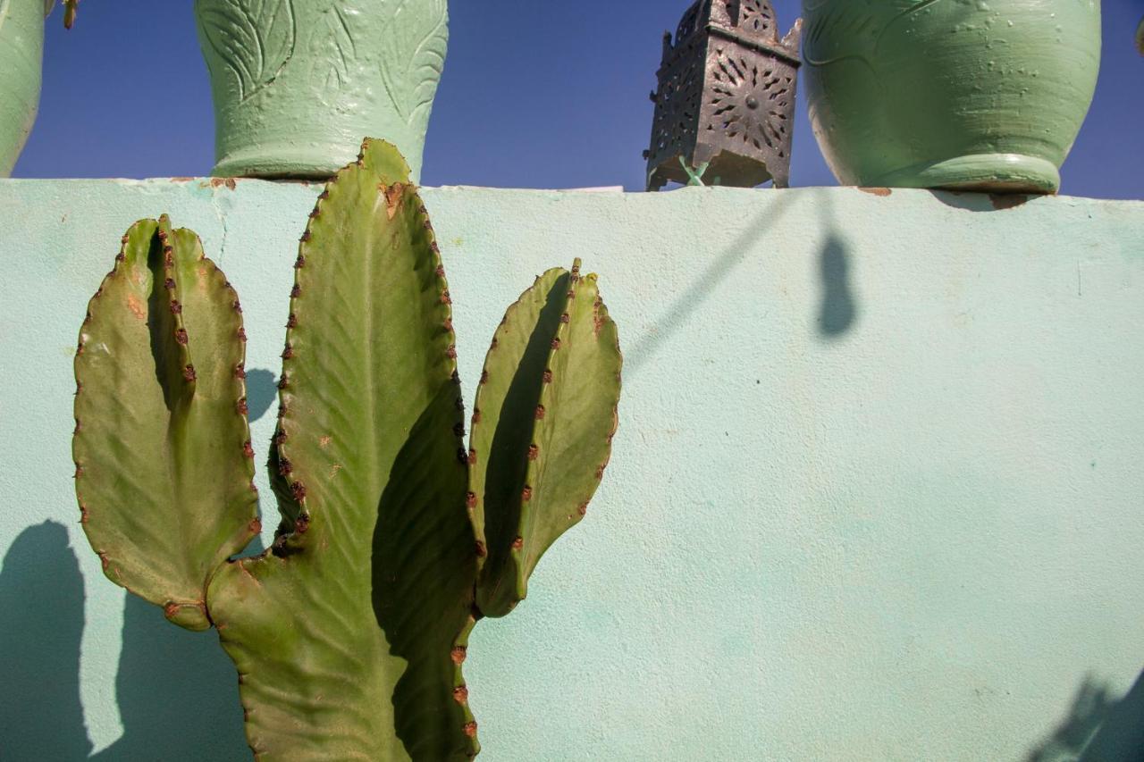 Amayour Surf Hostel Taghazout Exterior foto
